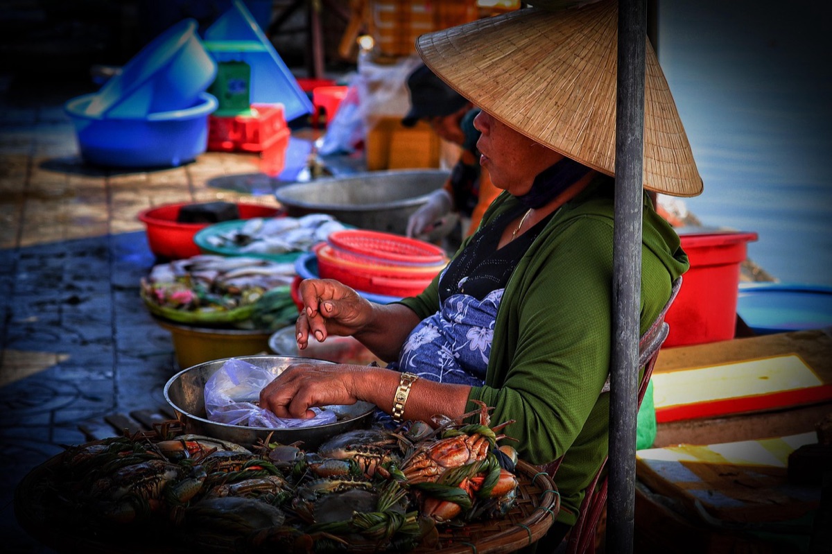 Vietnam street vendor market with expert analysis