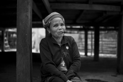 5 niches voor groei: Vietnamse kennisdeling nu rendabel