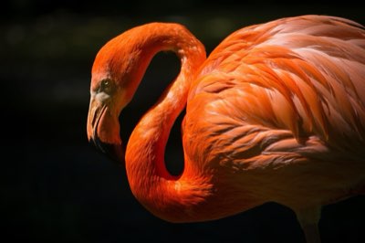 Succesvolle kanalen: 3 pijlers voor duurzame online groei