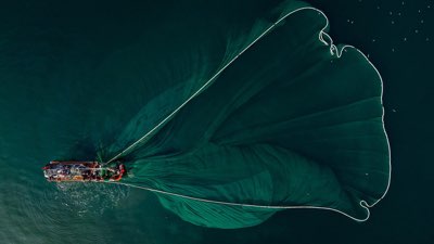 Vietnamese Creators: Building Empires Beyond the Ad Check