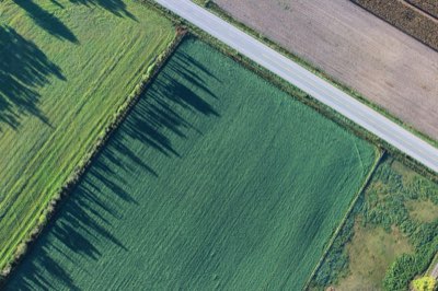 7 Schritte zum Durchbruch: Survival-Content in Südostasien