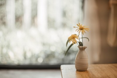 84.2%の視聴率！ベトナムのデジタル熱狂を生む秘訣を徹底分析