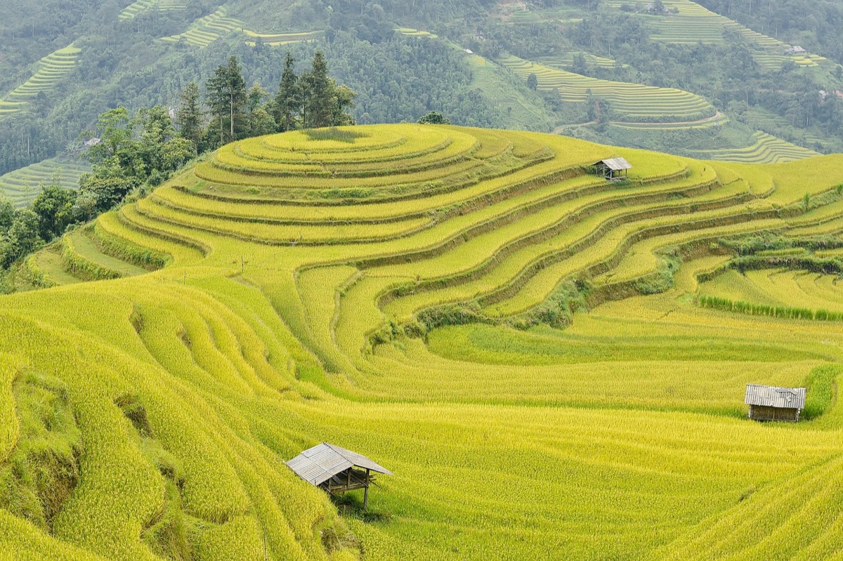 Vietnam mountain landscape