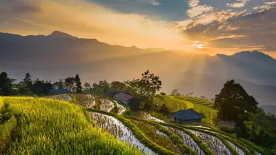 Vietnamese kids content education: Why it is growing now