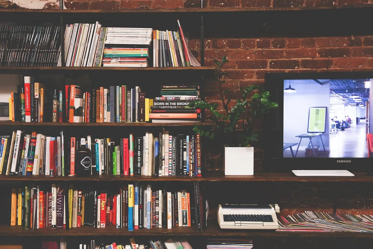 library, books, tv, multimedia, room, modern, interior, education, bookshelves, shelves, literature, knowledge, read, wisdom, reading, living room, library, lib