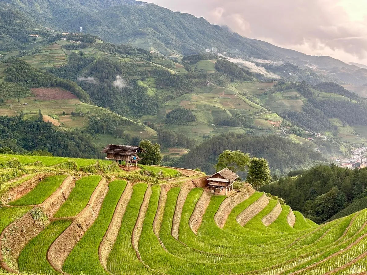 rice, agriculture, vietnam, nature, green, countryside, house, moutains, landscape, Vietnam, Mu Cang Chai, Lao Cai